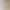 High-End Sports Bra for Women with Breast Pads, No Need to Wear Underwear, Yoga Vest, Pilates, Skin-Friendly, Breathable Fitness Top