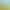 Freeze-Dried Cat Grass Chicken Snacks for Cats, Hairball Control Cat Grass Sticks, Teeth Cleaning for Kittens, Hairball Buster Pet Supplies