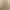 Amazon Cross-Border European and American Seamless Jelly Strip Plus-Size Bra Without Underwire, Push-Up, Outward Expansion, Leopard Print for Women Amazon Cross-Border European and American Seamless Jelly Strip Plus-Size Bra Without Underwire, Push-Up, Outward Expansion, Leopard Print for Women