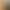 Versatile khaki trench coat for women, 2026 spring/autumn new collection, mid-length, stylish, and with a sophisticated Korean design, suitable for petite figures