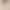 Foundation-colored bra, wire-free, for small busts, seamless, with lace detailing on the back, medium-thickness, fixed cups, 2026 new style