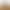 Tiger Skin Xuanfeng Cereal Bite Toy Supplies Award Bird Food Nourishing Pills Parrot Small Zero Food Stick Grinding Stick