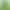 Easy-To-Care-For Money Grass Hydroponic Potted Plants for All Seasons, Small Green Plants for Office Desktops, Water-Cultivated Money Grass Seeds Easy-To-Care-For Money Grass Hydroponic Potted Plants for All Seasons, Small Green Plants for Office Desktops, Water-Cultivated Money Grass Seeds