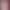 European Style Wool Coat for Women, Pink, Elegant, Mid-Length, Double-Sided Woolen Coat, 2026 Cocoon Style European Style Wool Coat for Women, Pink, Elegant, Mid-Length, Double-Sided Woolen Coat, 2026 Cocoon Style