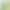 Bonsilai Green Yarn Fabric Soft Yarn Background Veil Soft Dense Mesh Gauze Hanfu Fabric Transparent Wedding Dress Solid Color Fabric