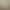 New A-Grade Soybean Autumn and Winter Australian Wool Quilt Core Thickeneded Warm Spring & Fall Quilt Double Quilt Bedding Dormitory