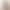Satin simple light wedding dress elegant bridal fishtail skirt small trailing lawn main yarn winter long sleeve Conservative outdoor yarn Satin simple light wedding dress elegant bridal fishtail skirt small trailing lawn main yarn winter long sleeve Conservative outdoor yarn