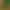 2026 New Tea Anxi Tea Leaves, Light Fragrance Type Tieguanyin in Small Bags, Orchid-Scented High Mountain Oolong Tea, Wholesale from Manufacturer