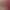 2026 Autumn and Winter New Maternity Korean Style Fashionable Simple and Stylish Red Festive Christmas and New Year Sweater Dress 2026 Autumn and Winter New Maternity Korean Style Fashionable Simple and Stylish Red Festive Christmas and New Year Sweater Dress