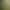 Green Shimmering Chiffon Semi-Transparent Silk Delicate Soft Shawl Dress Veil Designer Fabric