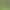 Shengu 2026 Anji Craftsmanship Zhejiang Phoenix White Tea Maofeng Green Tea Tea Leaf Wholesale Market Bulk Origin Source Shengu 2026 Anji Craftsmanship Zhejiang Phoenix White Tea Maofeng Green Tea Tea Leaf Wholesale Market Bulk Origin Source