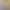 Plus-Size Round-Neck Sleeveless Tank Top for Women, Summer 2026 New Style, Loose Fit, Slimming, Versatile, Covers the Body, Women's Top