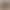 Amazon Wild Country Barn Western Cowboy Theme Photography Background Cloth Adult Children Birthday Party Banner Amazon Wild Country Barn Western Cowboy Theme Photography Background Cloth Adult Children Birthday Party Banner