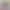 1:32 Baoma M8 Two-Door Sports Car Simulation Model Premium Live-Stream Blind Box Hot-Selling Alloy Toy Car 1:32 Baoma M8 Two-Door Sports Car Simulation Model Premium Live-Stream Blind Box Hot-Selling Alloy Toy Car