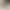 Dujia's new European and American ins cat-eye sunglasses for women, the same style as worn by internet celebrities, fashionable acetate sunglasses for trendy men dg4480