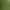 Wholesale Steamed Green Tea Leaves, Authentic Matcha Raw Materials, Order Online and Enjoy Direct Wholesale Prices Wholesale Steamed Green Tea Leaves, Authentic Matcha Raw Materials, Order Online and Enjoy Direct Wholesale Prices
