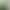 Sheer curtain in avocado green and light green for kindergarten design background and environmental decoration material, soft and dense mesh fabric