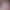 Storage Plastic Box, Fresh-Keeping Box, Storage Box, Food Storage Box, Plastic Storage Box, Food Box, Snap-Lock Storage Box Storage Plastic Box, Fresh-Keeping Box, Storage Box, Food Storage Box, Plastic Storage Box, Food Box, Snap-Lock Storage Box