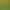 New Crop of Small Green Beans from Northeastern Farms, Farm-Grown Green Beans for Sprouting, Green Bean Soup, Whole Grains, Coarse Grains, Various Specifications