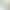 kinbata shoe brush long handle Beech household shoe washing brush soft brush laundry brush board brush does not hurt shoes L