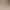 Creative Shell Nightlight Desktop Luminous Ornaments Bedroom Bedside Sleep Lamp Makeup Table Earrings Jewelry Storage Plate