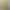Wedding Gauze Champagne Color Translucent Chiffon Gauze Stage Background Translucent Gauze Wedding Decoration Cloth Ceiling Gauze