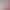 Summer New Dopamine Print Tight Yoga Shorts for Women, High-Waisted Tummy Control Fitness Shorts, Butt-Lifting Running Shorts for Women