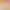 sneaker Women's 2024 Spring New Thick-soled All-match Torre Shoes Non-slip Soft-soled Casual Running Shoes White Shoes