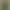 This Year's Trendy Ethereal Green Sleeveless Chiffon Vest for Women Is a Stylish and Unique Halter Top for Summer