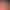 Nine-Color Life Omina Sucking and Licking Nest Wearable New Model for Women Sucking and Licking into the Body Three G-Spot Strong Nine-Color Life Omina Sucking and Licking Nest Wearable New Model for Women Sucking and Licking into the Body Three G-Spot Strong