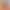 Sponge Mop 2026 Hands-Free Household Mop for Dry and Wet Use, Absorbent, Hands-Free Cleaning, Pva Mop Head