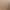 Wig for Women in Champagne Milk Tea Gold Color, Enhances Face Shape, Short Curly Collarbone Hair, Everyday Look, Rose Net Full Head Wig Wig for Women in Champagne Milk Tea Gold Color, Enhances Face Shape, Short Curly Collarbone Hair, Everyday Look, Rose Net Full Head Wig