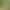 Laoshan Bamboo Leaf Tea, Light Bamboo Leaves, New Seasonal Product, Slow-Baked at Low Temperature, Double Screening, 500g Loose-Packed, Sugar-Free, Suitable for Consumption