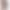 Black Suit-Style Hip-Hugging Shorts for Women, Autumn/Winter 2026, Fleece-Lined, High-Waisted, Slim-Fit, Flattering, Minimalist, Trendy Boot Shorts