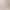 Large Household Broom with Hard Bristles for Cleaning, Non-Stick Hair, Magic Long Handle, Extra Hard Bristles, Popular Model Large Household Broom with Hard Bristles for Cleaning, Non-Stick Hair, Magic Long Handle, Extra Hard Bristles, Popular Model