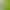Green Gauze Mesh Fabric for Kindergarten Environment Creation, Handmade Decoration, Scene Arrangement, Lightweight Background Cloth, New Chinese Style Green Gauze Mesh Fabric for Kindergarten Environment Creation, Handmade Decoration, Scene Arrangement, Lightweight Background Cloth, New Chinese Style