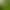 Moss Micro-Landscape Creative Simple Artificial Small Mushroom DIY Succulent Gardening Landscaping Decoration Accessories Small Ornaments Moss Micro-Landscape Creative Simple Artificial Small Mushroom DIY Succulent Gardening Landscaping Decoration Accessories Small Ornaments