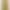 (Pure cotton and composite milk silk) Green women's sweatshirt jacket, new spring style, casual hooded cardigan